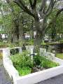 Alter Friedhof